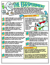 EggSperiment activity sheet